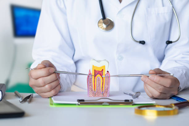 Best Emergency Dental Care for Trauma or Injury in Strathmore, NJ